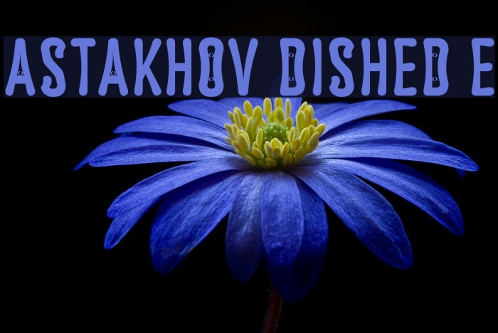 Astakhov Dished E Font examples