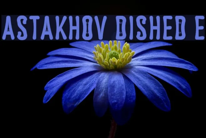 Astakhov Dished E Example 3