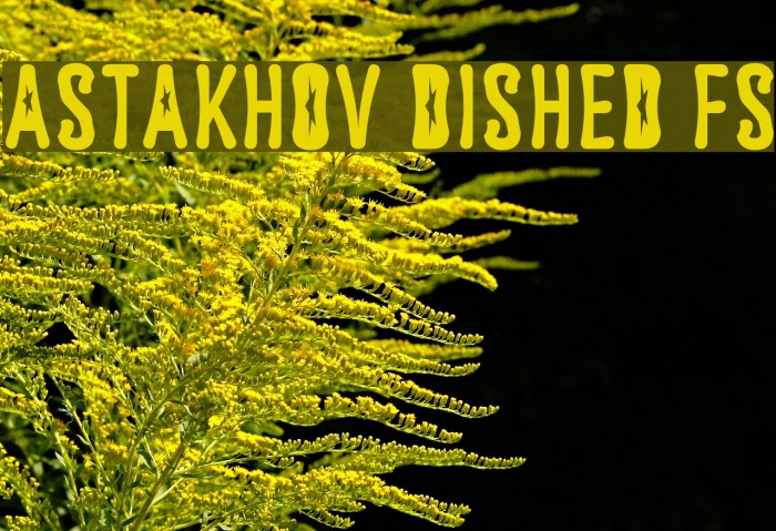 Astakhov Dished FS Font examples