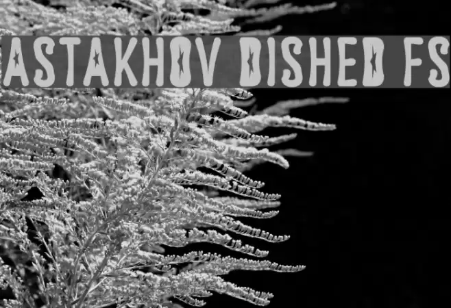 Astakhov Dished FS Font examples