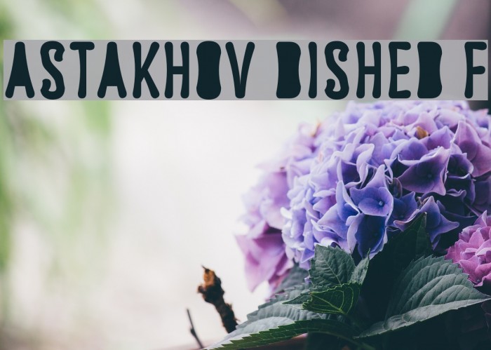 Astakhov Dished F Font examples