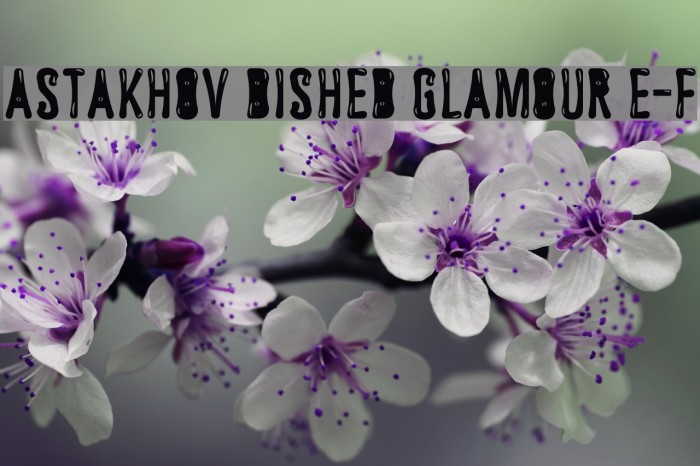 Astakhov Dished Glamour E-F Font examples