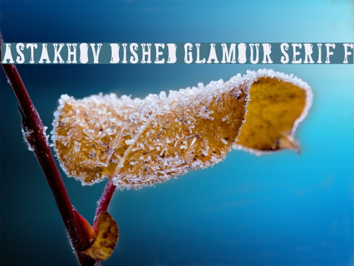 Astakhov Dished Glamour Serif F Example 2