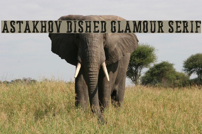 Astakhov Dished Glamour Serif Font examples