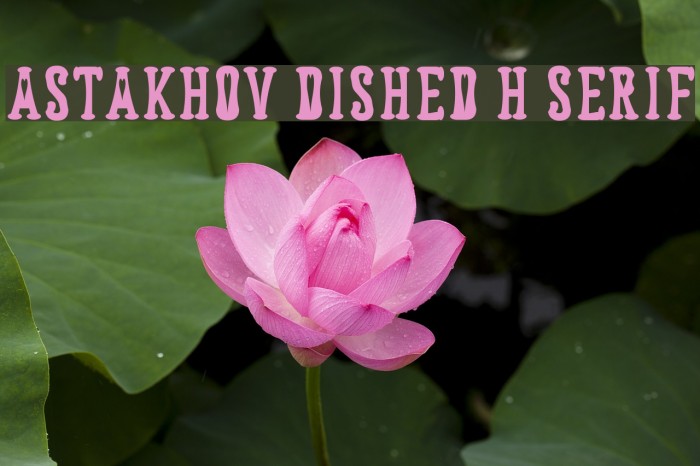 Astakhov Dished H Serif Font examples