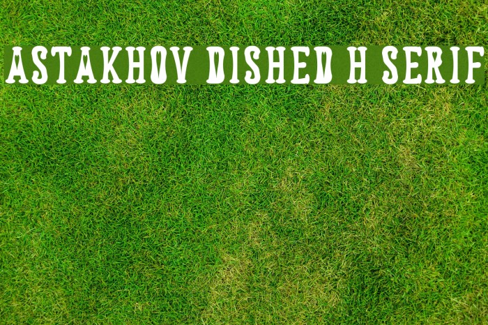 Astakhov Dished H Serif Font examples
