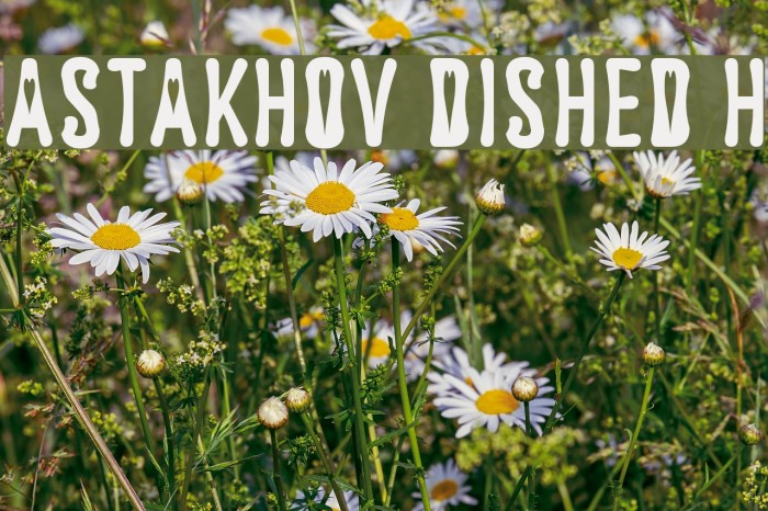 Astakhov Dished H Font examples