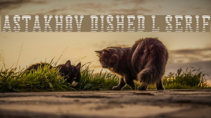Astakhov Dished L Serif Font examples