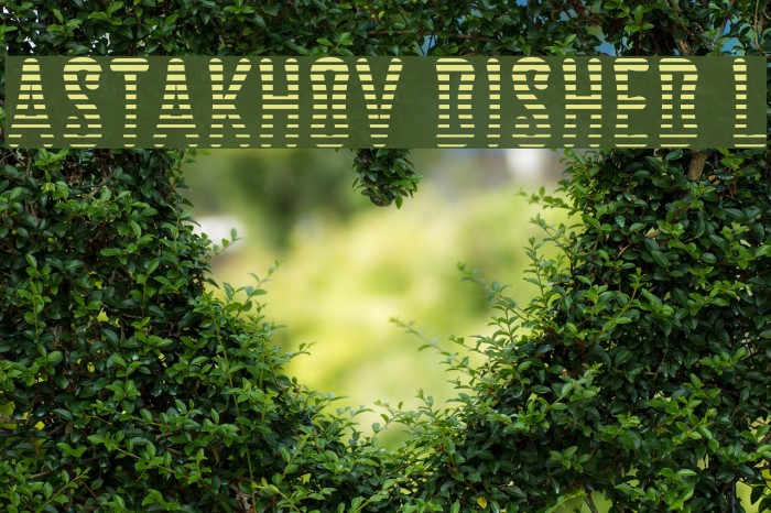 Astakhov Dished L Font examples