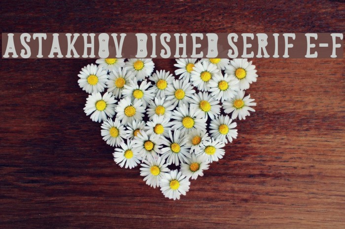 Astakhov Dished Serif E-F Example 1