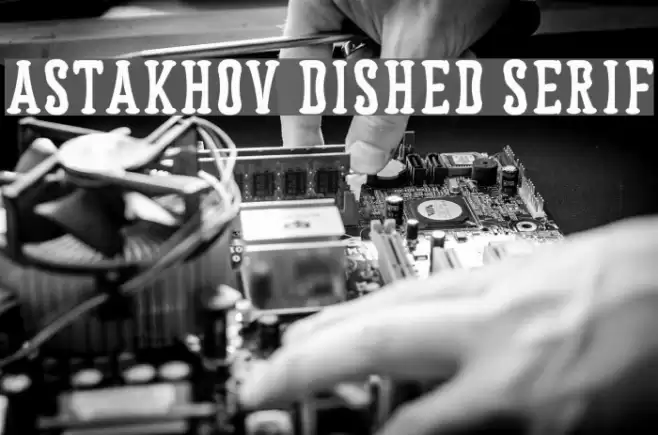 Astakhov Dished Serif Font examples