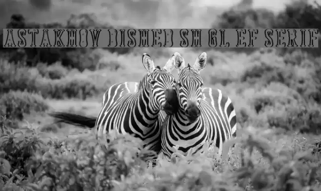 Astakhov Dished Sh Gl EF Serif Font examples