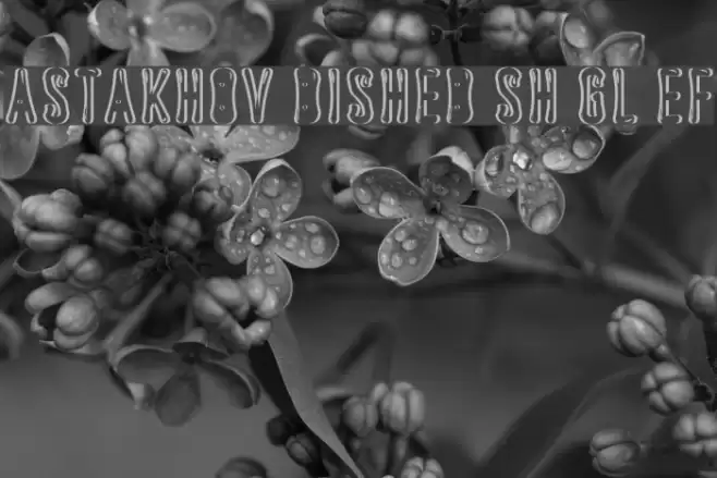 Astakhov Dished Sh Gl EF Font examples