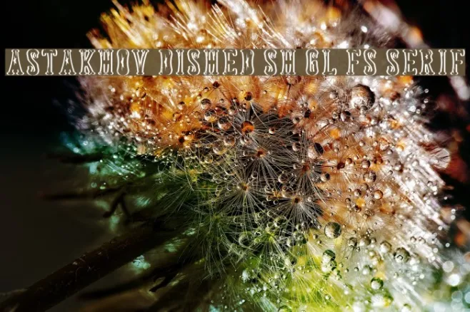 Astakhov Dished Sh Gl FS Serif Example 2