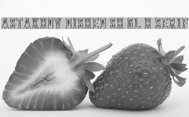 Astakhov Dished Sh Gl H Serif Font examples