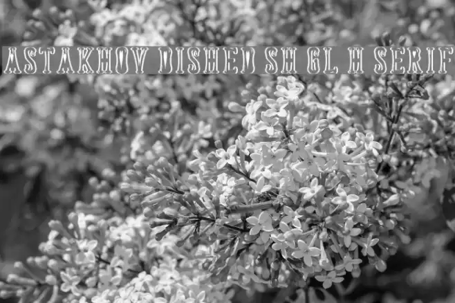 Astakhov Dished Sh Gl H Serif Font examples