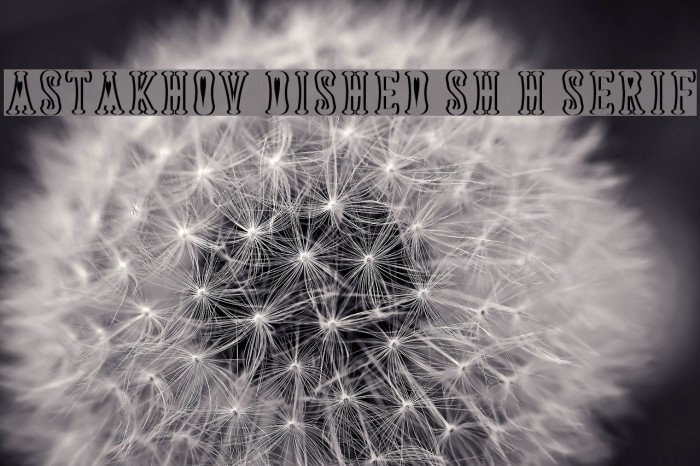 Astakhov Dished Sh H Serif Font examples