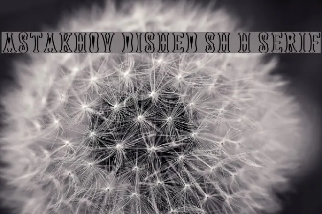 Astakhov Dished Sh H Serif Example 2