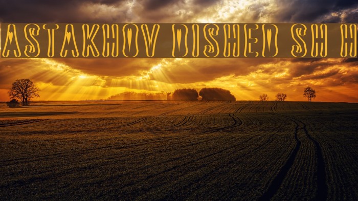 Astakhov Dished Sh H Example 1