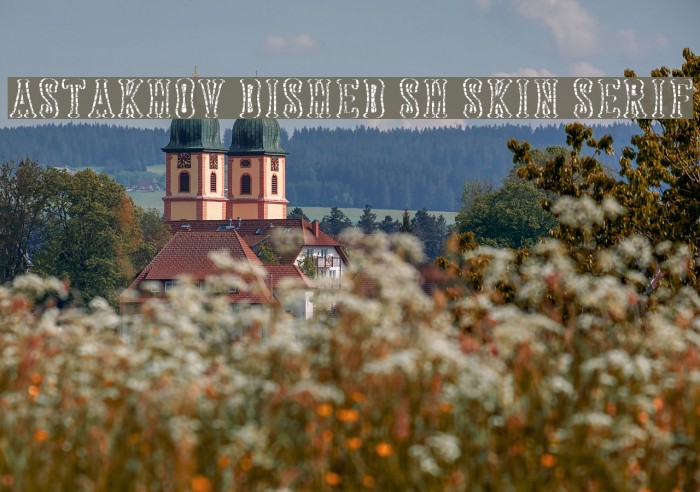 Astakhov Dished Sh Skin Serif Font examples