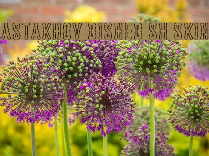 Astakhov Dished Sh Skin Example 3