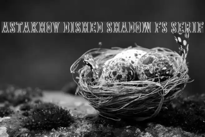 Astakhov Dished Shadow FS Serif Font examples