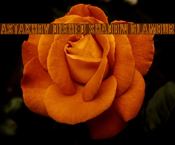 Astakhov Dished Shadow Glamour Font examples