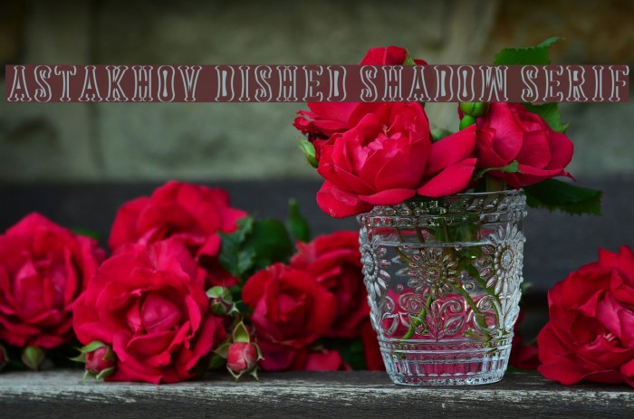 Astakhov Dished Shadow Serif Font examples