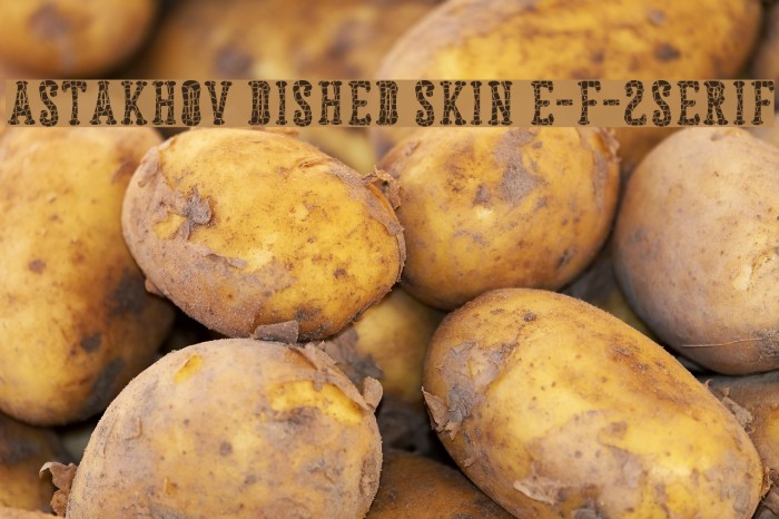 Astakhov Dished Skin E-F-2Serif Font examples