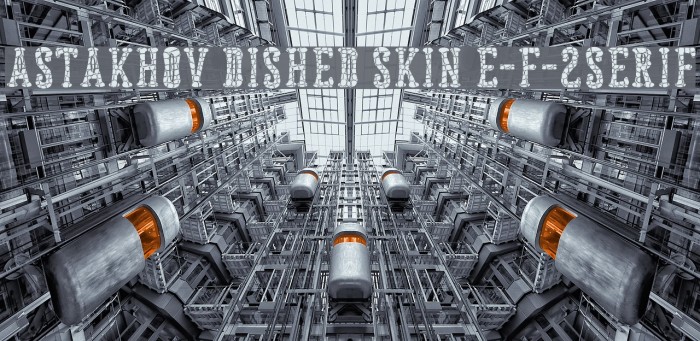 Astakhov Dished Skin E-F-2Serif Font examples
