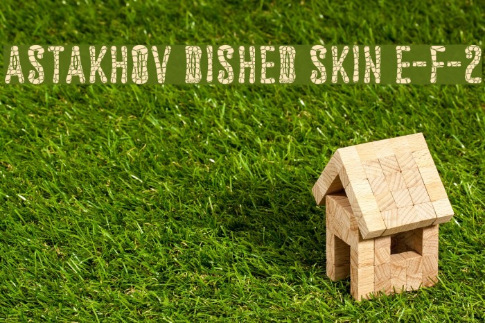 Astakhov Dished Skin E-F-2 Font examples