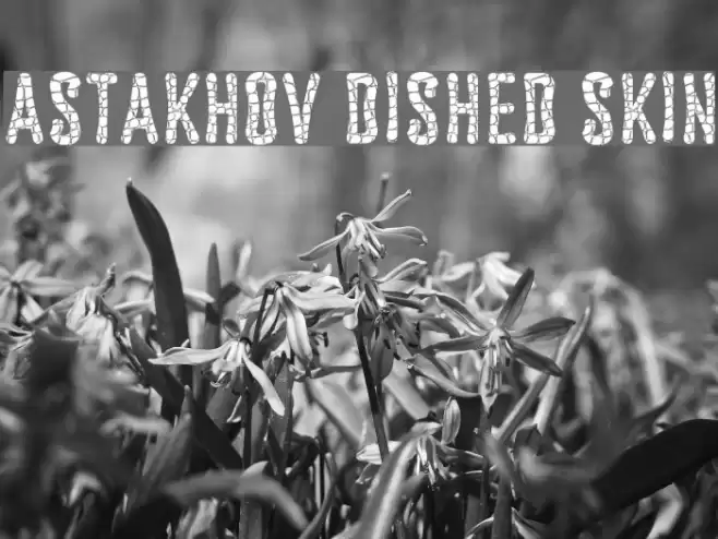 Astakhov Dished Skin Font examples