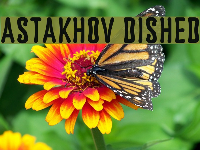 Astakhov Dished Font examples
