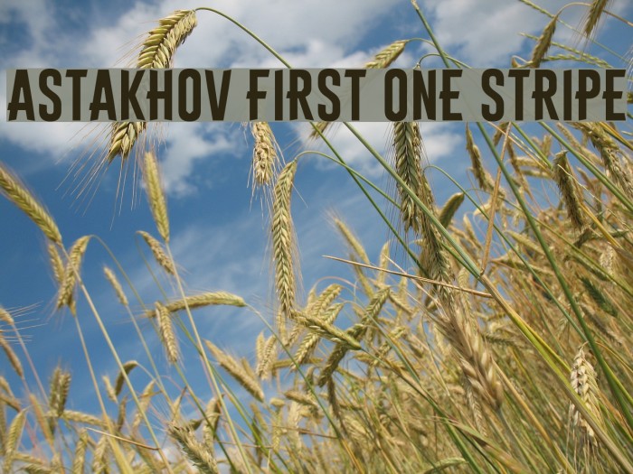 Astakhov First One Stripe Font examples