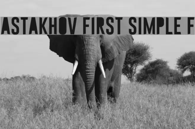 Astakhov First Simple F Font examples
