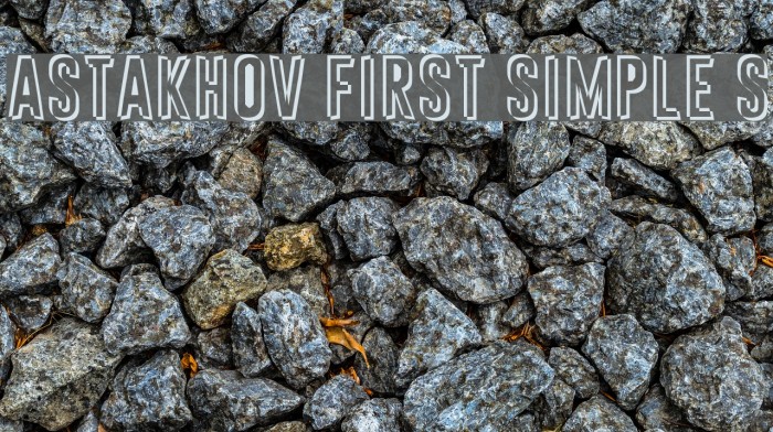 Astakhov First Simple S Example 2