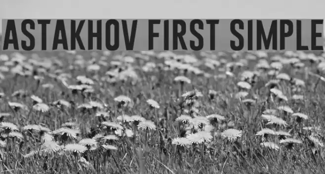 Astakhov First Simple Font examples