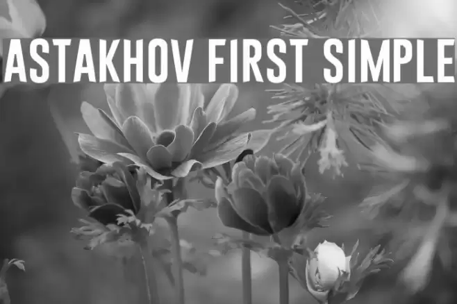 Astakhov First Simple Font examples
