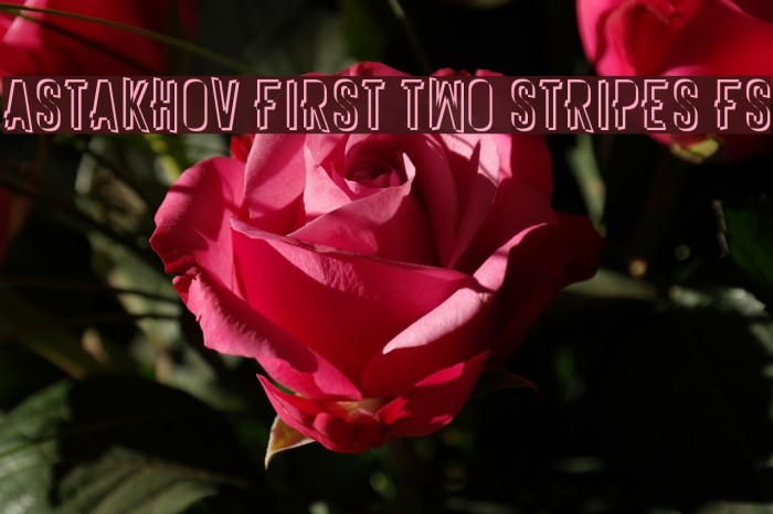 Astakhov First Two Stripes FS Example 2