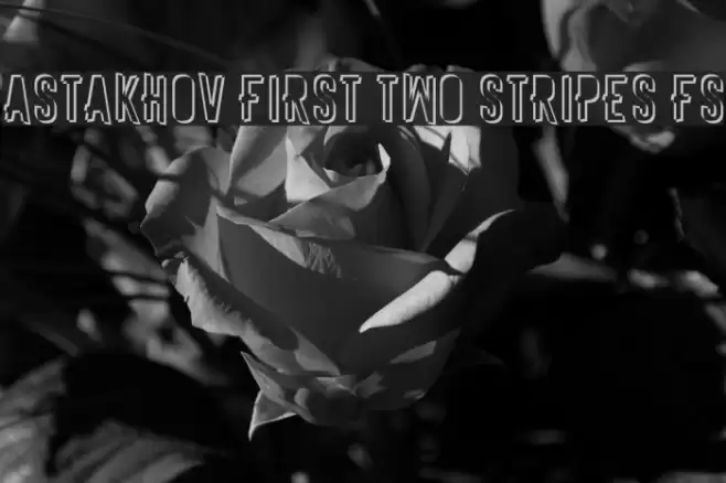 Astakhov First Two Stripes FS Font examples