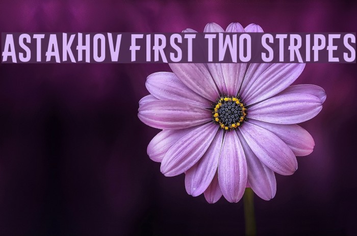 Astakhov First Two Stripes Font examples