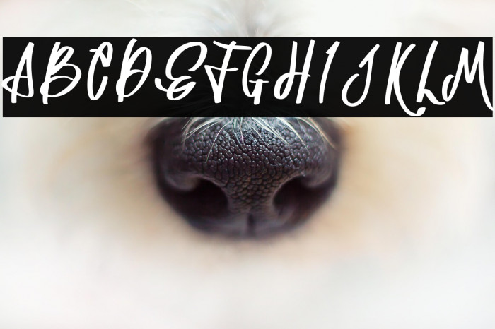 Astania Regular Example 2