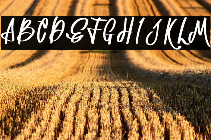 Astania Regular Example 3