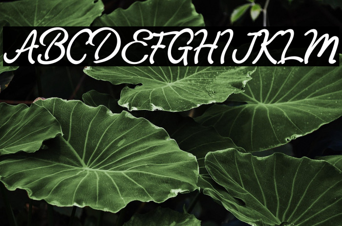 AstaniaScript Example 3