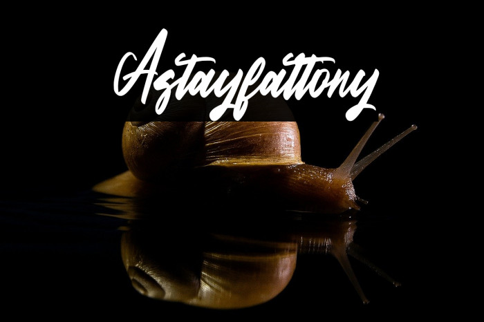 Astayfattony Example 3