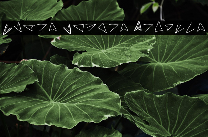 Aster Cipher Regular Example 1