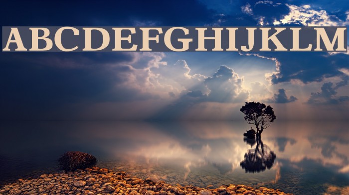 Aster1 Font examples