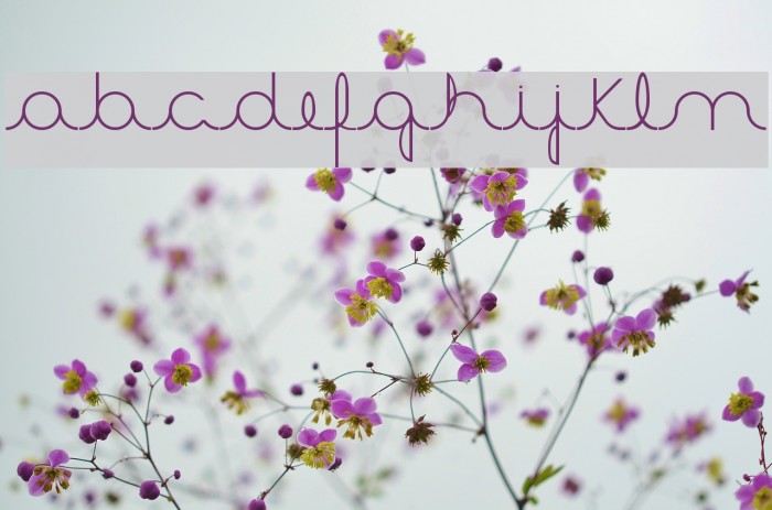 Aster3 Font examples