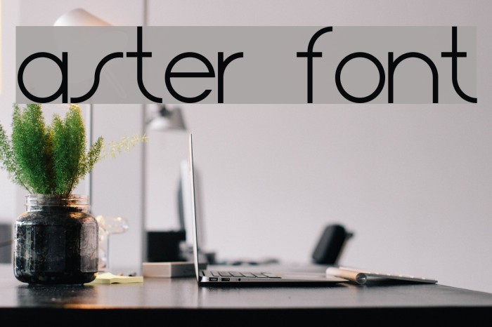 Aster Font examples