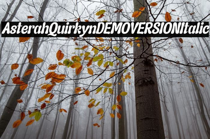 Asterah Quirkyn DEMO VERSION Italic Example 1